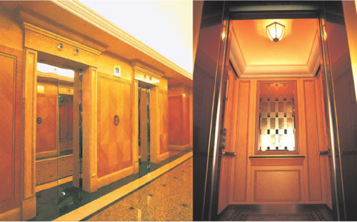 роскошный тип кабина лифта пассажира приносит вам красивое и удобное чувство